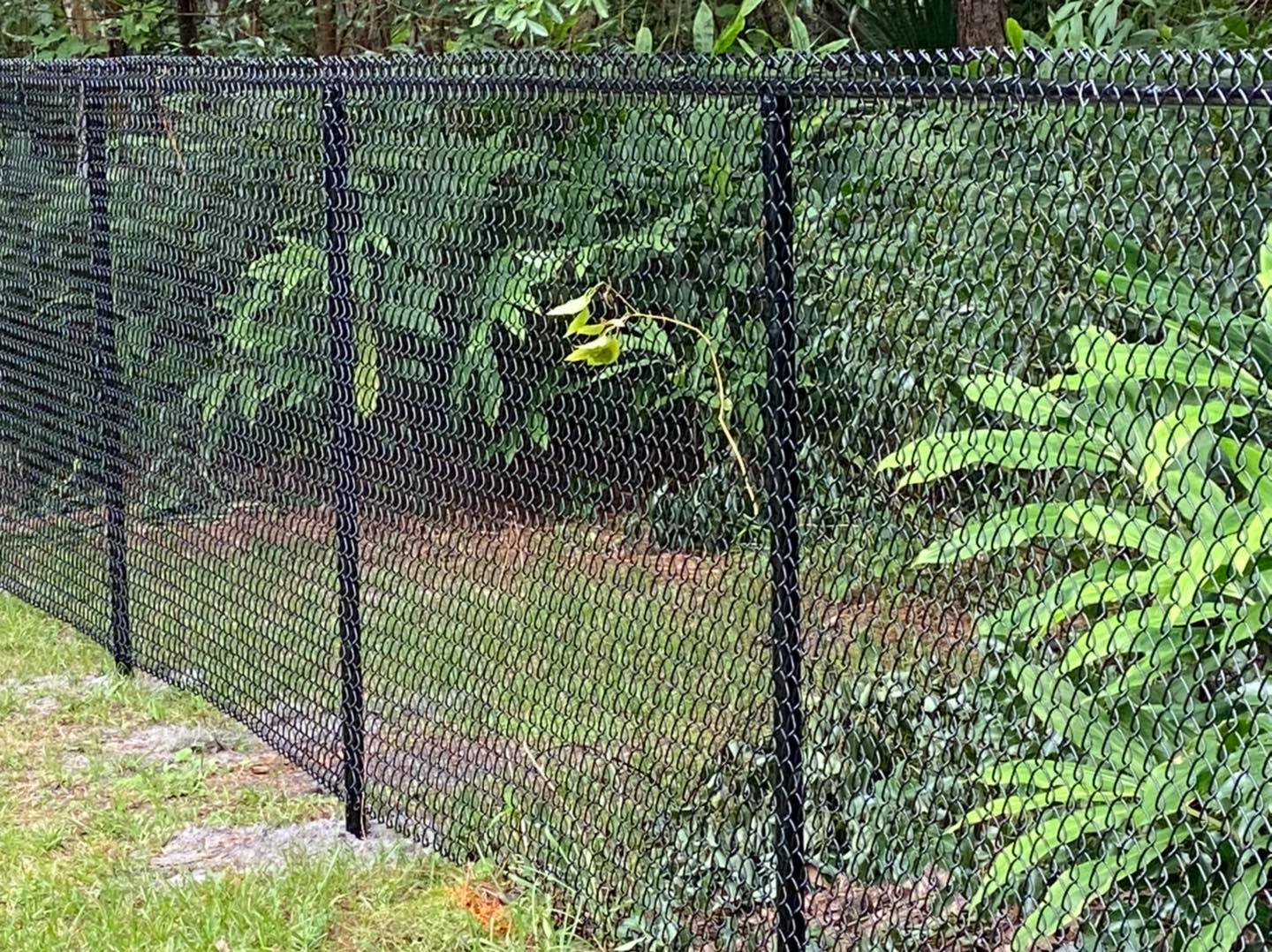 PVC Coated Chain Link Fence Installation Orlando FL