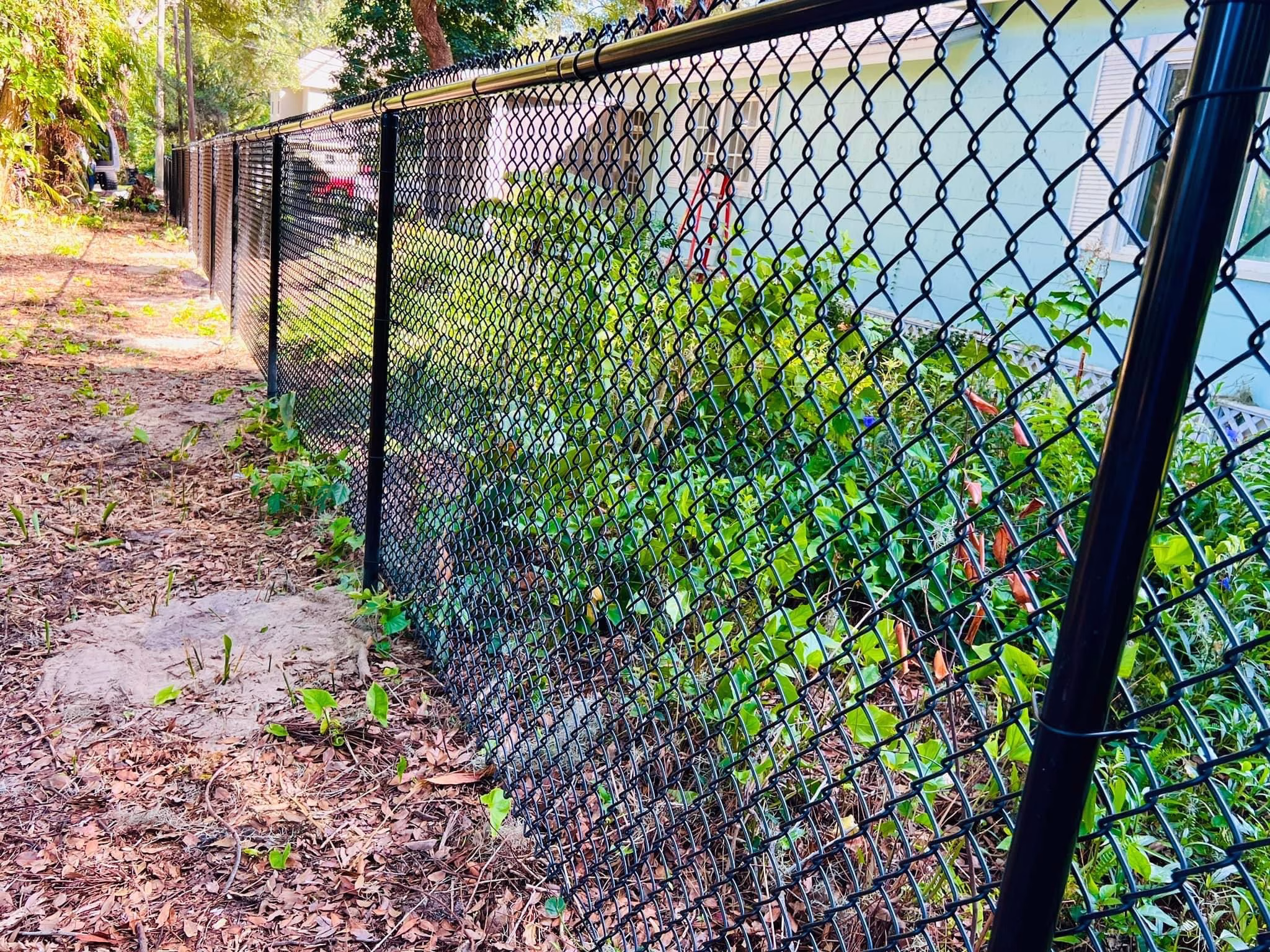 Doctor Phillips Chain Link Fence Company