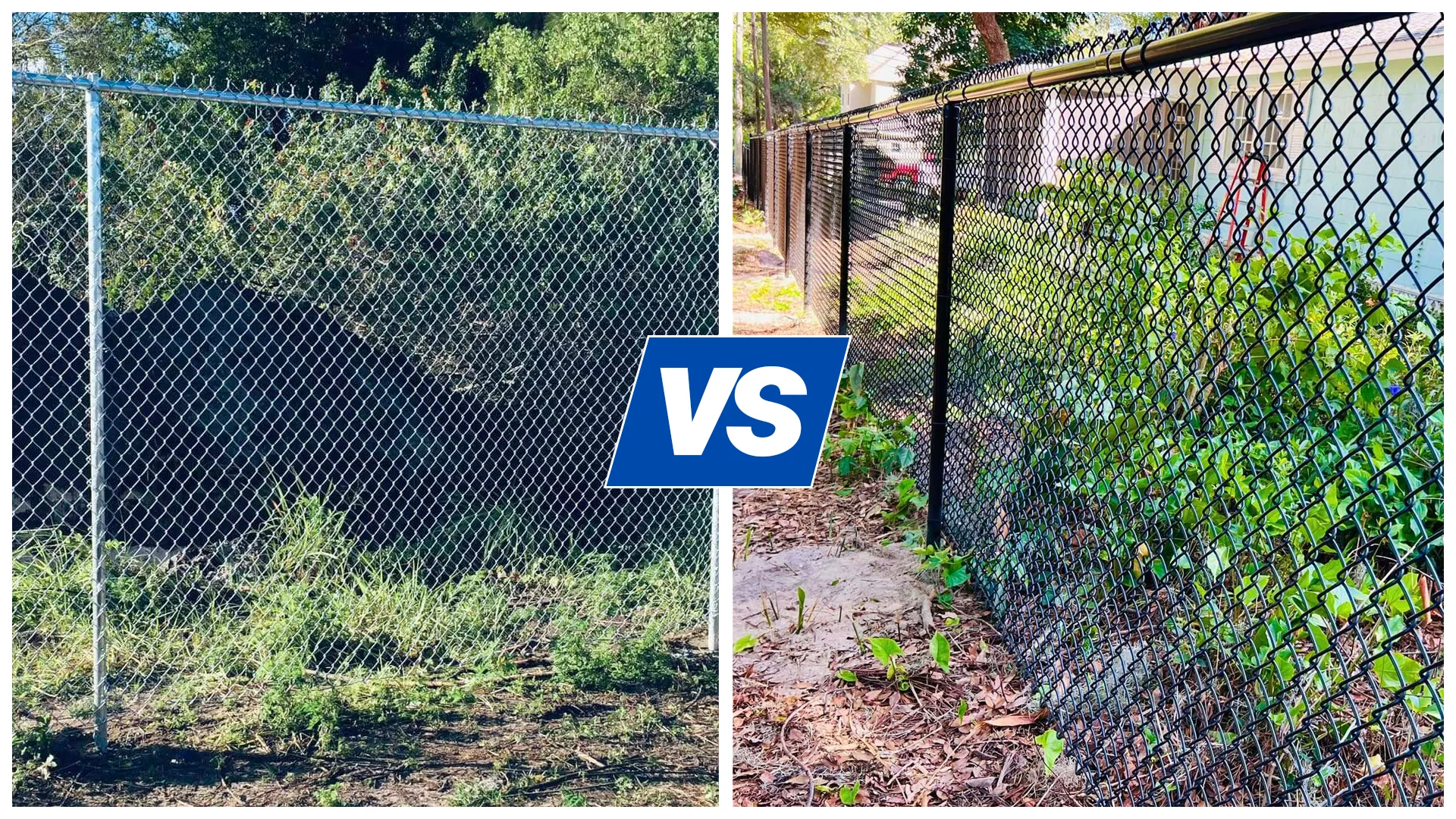 black chain link fence vs galvanized